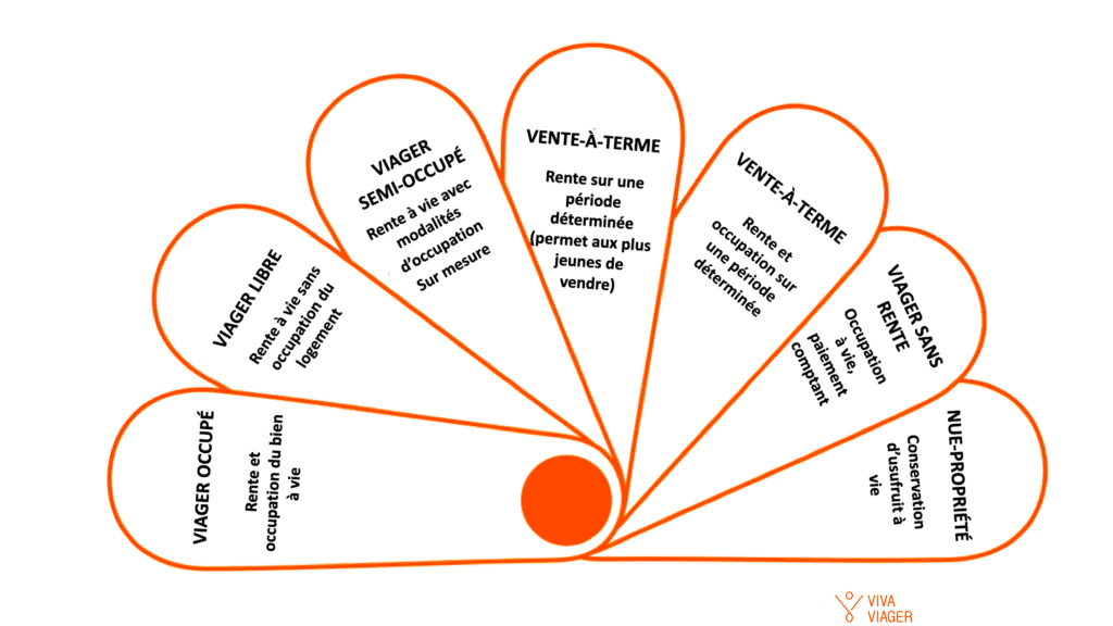 Les différents types de viager Les différents types de viager