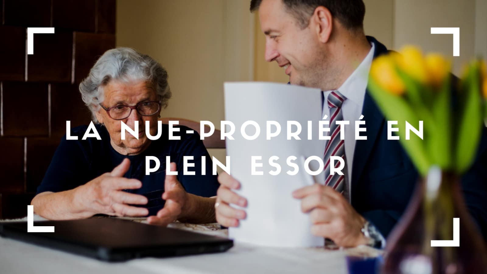 La nue-propriété