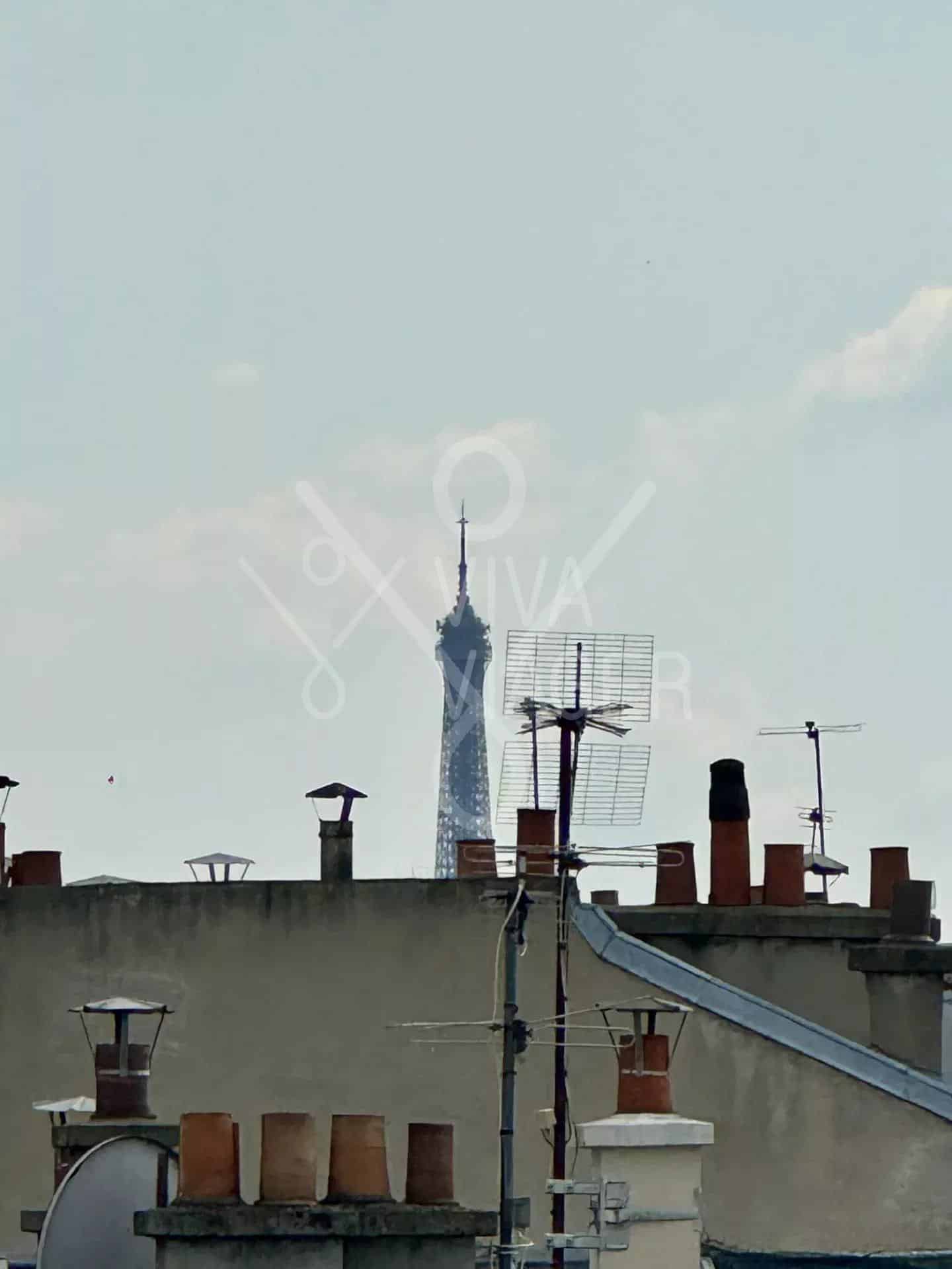 Appt 4P 90 m² –Viager occupé – Paris 17