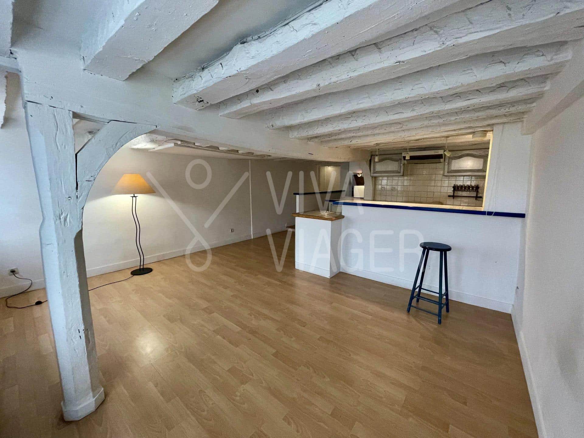eebcb8310bfd263d7cefd37905c1dbea_01bd0636a9_1920-original-38537 Appt 2P 50m² – Viager libre – Paris 7ème